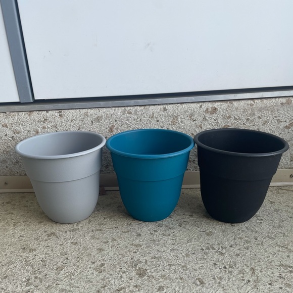 Organic cat grass growing kit - Picture 3 of 3